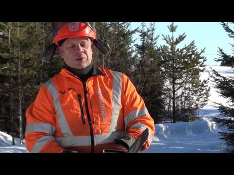 Metsolan Metsäkoulu 9, Moottorisahan käytön perussäännöt