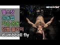 덤벨운동, 가슴운동, 덤벨플라이(dumbbell fly)[건디ROY]