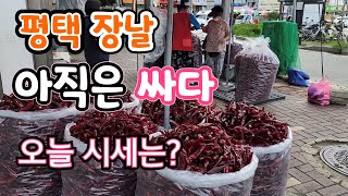 평택 장날 고추가 아직은 싸다^^ 고추가격?