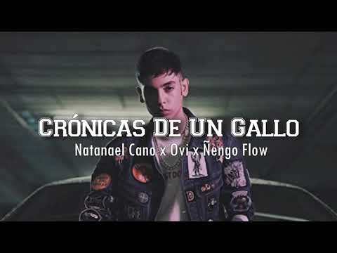 (LETRA) Cronicas De Un Gallo  - Natanael Cano x Ovi x Ñengo Flow (Video Lyrics)