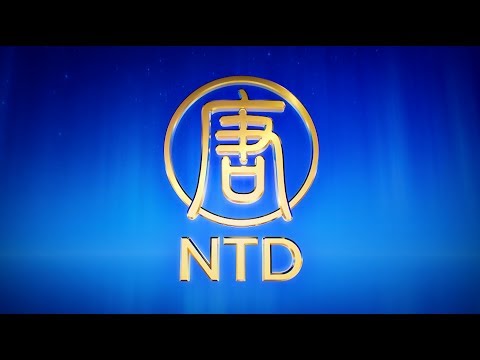 iNTD 中文