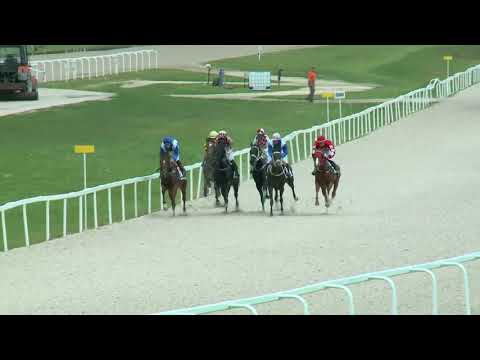 2017.09.17. 3. futam - BBAG BADEN - BADEN DÍJ (Elit kat.) (szintetikus pálya)