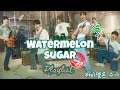 Twinkling watermelon 🍉 (반짝이는 워터멜론) band - watermelon sugar - playlist