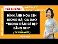 Hình ảnh hoa sen trong bài ca dao Trong đầm gì đẹp bằng sen Ngữ văn lớp 7 Chân trời sáng tạo