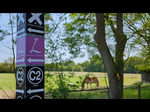 Auf den Spuren des Bistumsgründers – der Ludgerusweg durch die Baumberge