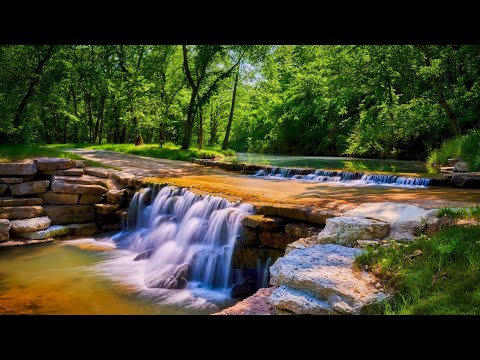 youtube embeded image