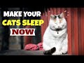 Sound To Make Cats Sleep Within 5 Minutes | CAT HYPNOSIS