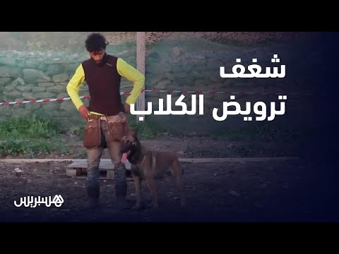 محمد علي.. شاب امتهن تدريب وترويض الكلاب عن حب