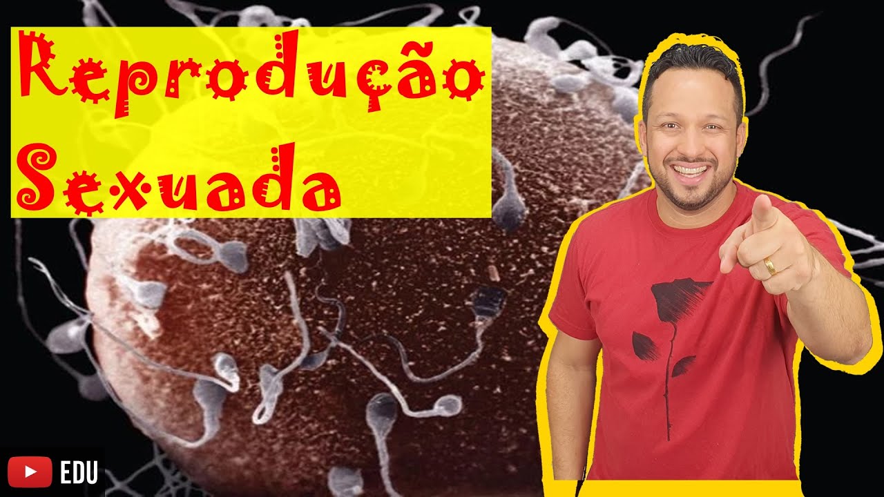 Reprodução Sexuada - Conceito e Exemplos - Tipos de Reprodução - Reprodução