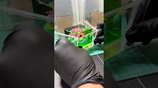 Base Set Venusaur turned 3D #3dprinting #pokemon #resin #pokemontcg #diorama