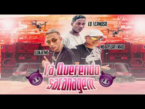 tá querendo sacanagem - MC PEURYNHO - EO XCAMOSO - LUKA MC