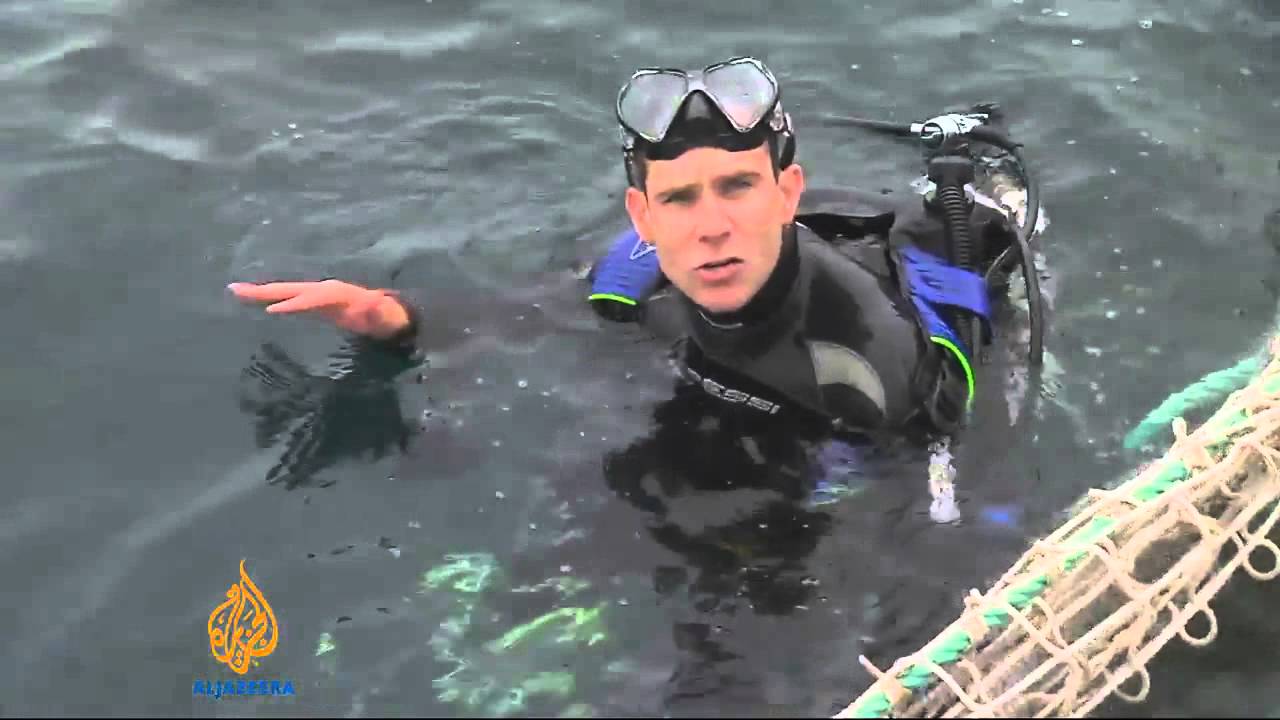 Overfishing hurting tuna supply in Australia