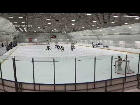 U14 AAA  / TuTo Blue - Lukko. 25.10.2020 14:30