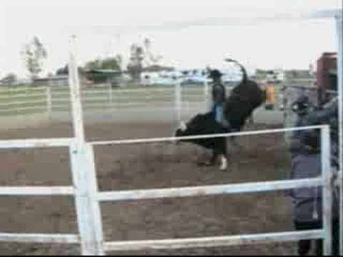 310 Fargo (Houdini son)