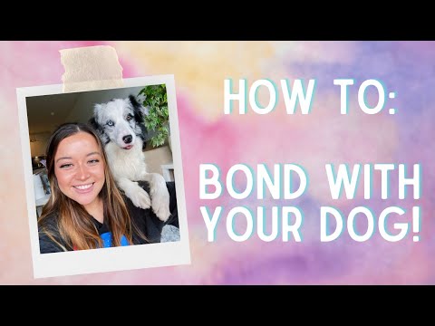 How To Become Your Dog's FAVORITE Human! (BOND with your dog!)