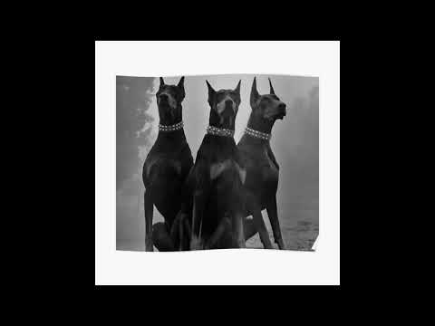 NATOS - KREAM - KHEIS