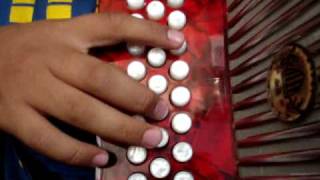 los tigres del norte palabras de mi madre  acordeon de sol