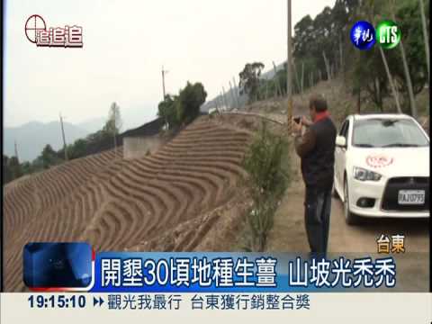濫墾坡地種生薑 颱風來恐走山