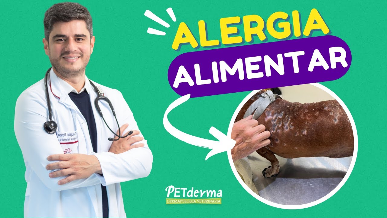 Saiba Tudo Sobre Alergia Alimentar Canina
