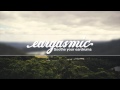 Stonefox - Heart (Samuraii Remix) 