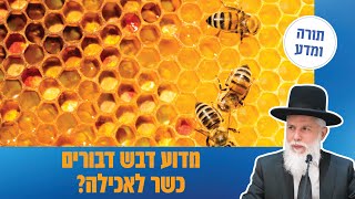 הרב זמיר כהן - מדוע דבש דבורים כשר לאכילה?