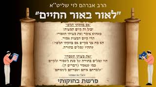 פרשת בחוקותי (תש''פ) - הרב אברהם לוי שליט''א - ''לאור באור החיים'' (הרב שלמה לוינשטיין) - התמונה מוצגת ישירות מתוך אתר האינטרנט יוטיוב. זכויות היוצרים בתמונה שייכות ליוצרה. קישור קרדיט למקור התוכן נמצא בתוך דף הסרטון פרשת בחוקותי (תש''פ) - הרב אברהם לוי שליט''א - ''לאור באור החיים'' (הרב שלמה לוינשטיין) - התמונה מוצגת ישירות מתוך אתר האינטרנט יוטיוב. זכויות היוצרים בתמונה שייכות ליוצרה. קישור קרדיט למקור התוכן נמצא בתוך דף הסרטון