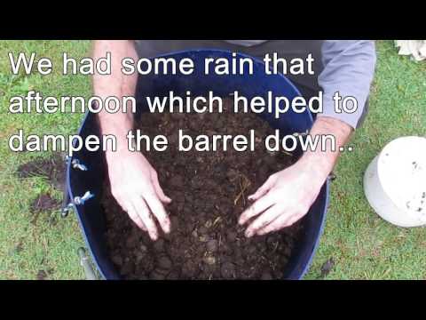 How to make a worm farm   Easy as worm barrel for lawn clippings & garden scraps