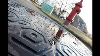 Lemonheads - Nothing True