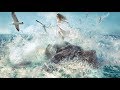 Joan Baez - Silkie  [HD]