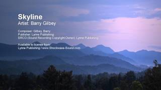 Skyline - Barry Gilbey (Lynne Publishing)