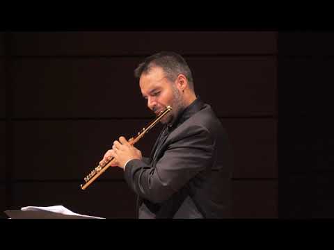 C. W. Gluck - Dance of the blessed spirits - Lello Narcisi flute - Il Furibondo String Trio