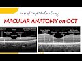 NORMAL MACULAR ANATOMY ON OCT