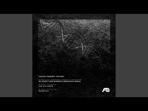 We Count These Moments (Wreckless Remix)