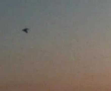 Punjabi Janta On Beach