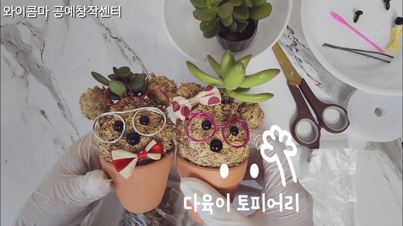 다육이 미니 토피어리 만들기