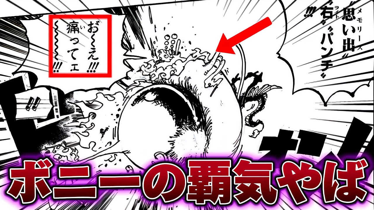 12歳で〝覇気〟を使う才能の塊すぎる女海賊を考察する読者の反応集【ワンピース考察】