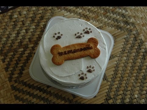 MAMENOSUKE -SHIBA INU- My Birthday!