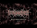 Retromorphosis - "Retromorphosis" (Official Audio)