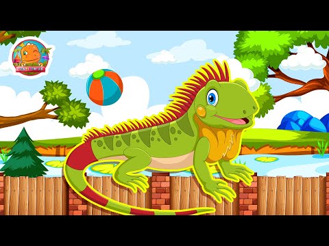 La Iguana Tomaba Café - Canti Rondas | Canciones Infantiles