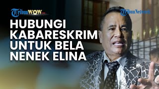 Bela Nenek Elina hingga Hubungi Kabareskrim, Hotman Paris Puji Kinerja Polda Jatim