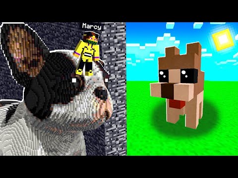 HO IMBROGLIATO NICO NELLA GARA DI COSTRUZIONE DI MINECRAFT