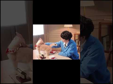 He's having trouble with his dog #ziyu #chineseidol #revengedlove #bl #chinesebl #fyp