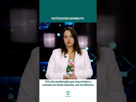Três são condenados por maus tratos a animais em Santa Catarina, um em Ibirama (13/11/25)