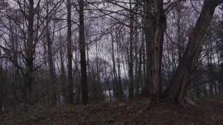 Jay Malinowski &amp; The Deadcoast - Singapore Sling (Live Performance)