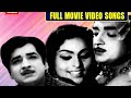 Pachanottukal Malayalam Full Movie Video Songs Prem Nazir Vijayasree Music By M K Arjunan