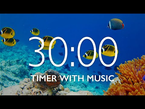 30 Minute Timer with Relaxing Music and Alarm 🎵⏰