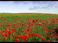 Трофим. Мудрые книжки 