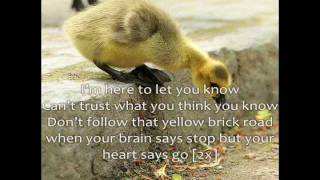 FM Static- My brain says stop but my heart says go Lyircs