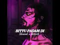 Bittu Padam Di Slowed Reverb