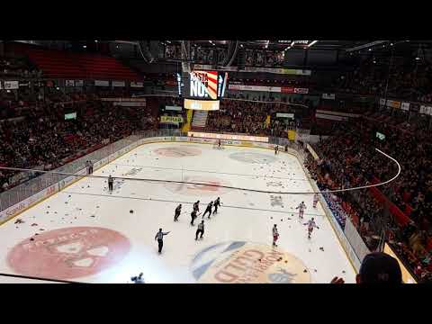 Brynäs Tiger Toss